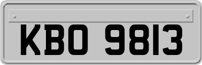 KBO9813