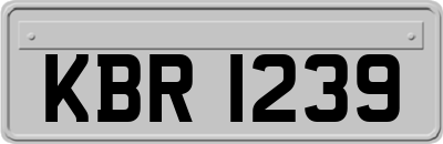 KBR1239