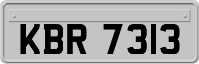 KBR7313