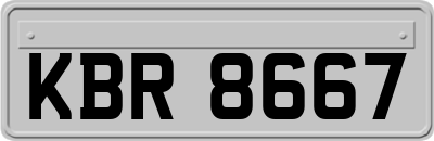 KBR8667