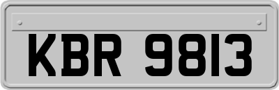 KBR9813