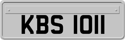 KBS1011