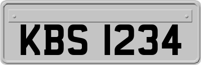 KBS1234