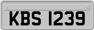 KBS1239