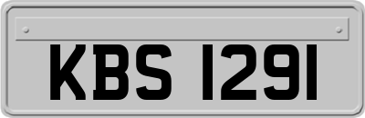 KBS1291