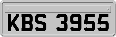 KBS3955