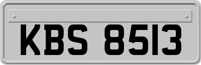 KBS8513
