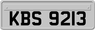 KBS9213