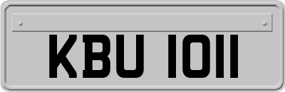 KBU1011