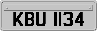 KBU1134