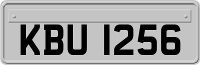 KBU1256