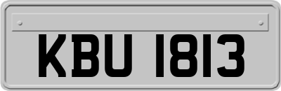 KBU1813