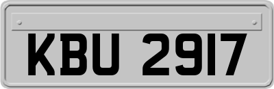 KBU2917