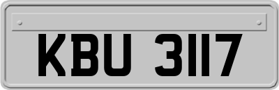 KBU3117