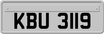 KBU3119