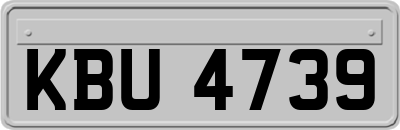 KBU4739