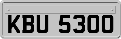 KBU5300