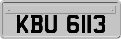 KBU6113