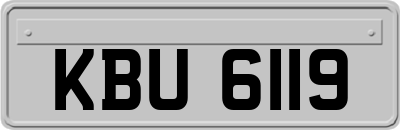 KBU6119