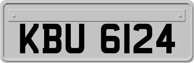 KBU6124