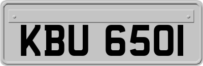 KBU6501