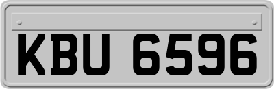 KBU6596