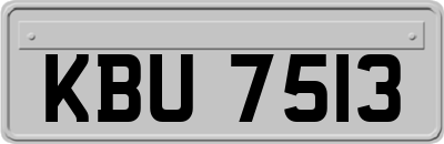 KBU7513