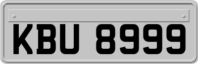 KBU8999