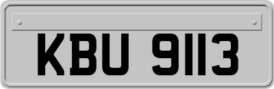 KBU9113
