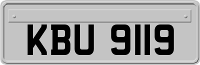 KBU9119