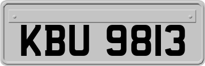 KBU9813