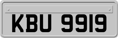 KBU9919