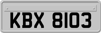 KBX8103