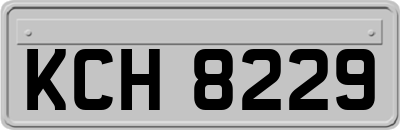 KCH8229