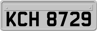 KCH8729