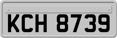 KCH8739