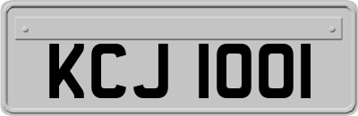 KCJ1001