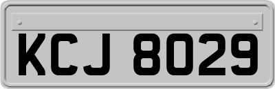 KCJ8029