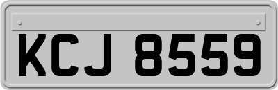 KCJ8559