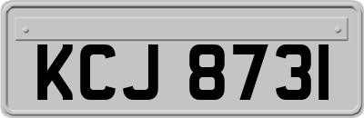 KCJ8731