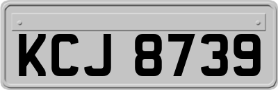 KCJ8739