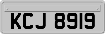 KCJ8919