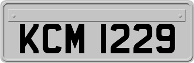 KCM1229