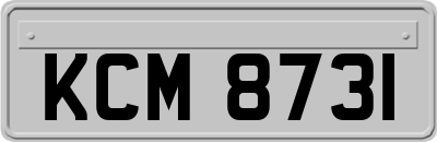 KCM8731