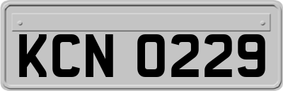 KCN0229