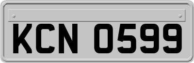 KCN0599