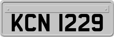 KCN1229