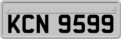 KCN9599