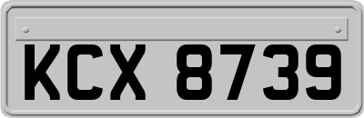 KCX8739