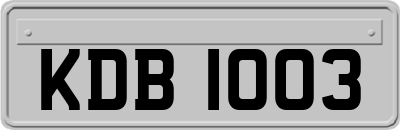 KDB1003